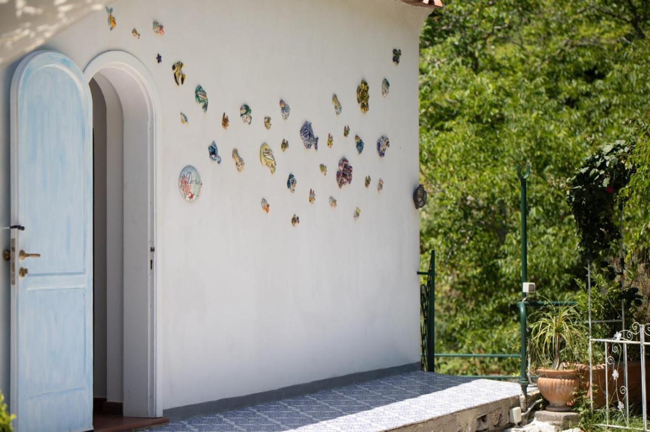 Bed and Breakfast Dormidame Positano Exteriér fotografie